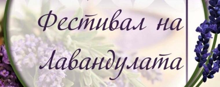 Осмо издание на Националния фестивал на лавандулата днес и утре в Генерал Тошево