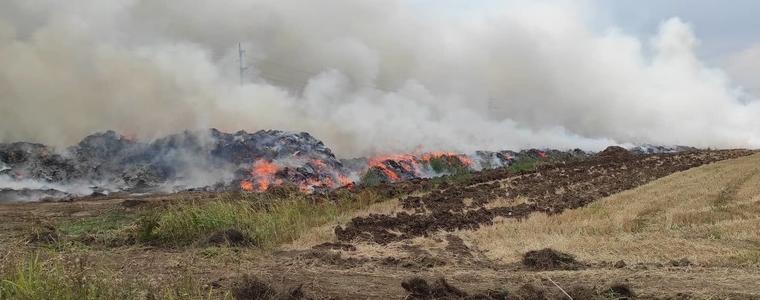 Пожар в нива край Каварна (СНИМКИ)
