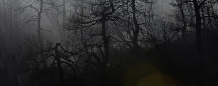 Трети ден военнослужещи и техника от ВВС помагат в гасeнето на големи горски пожари