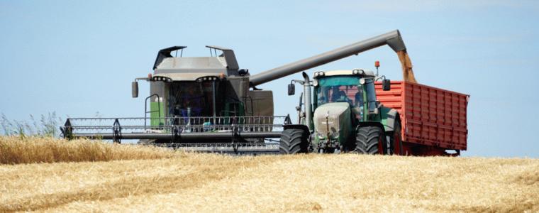 Жътвата на пшеница в Добруджа приключи с по-висок среден добив от миналогодишния