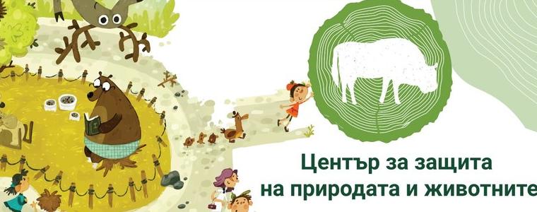 Кино под открито небе в зооцентъра в Добрич