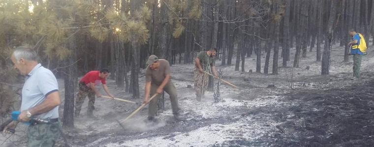 Над 1000 декара гори в обхвата на СИДП са засегнати от пожари от началото на 2022 г.