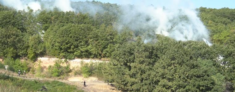 Разиграха гасене на голям пожар и спасяване на бедстващи край язовир Одринци (ВИДЕО)