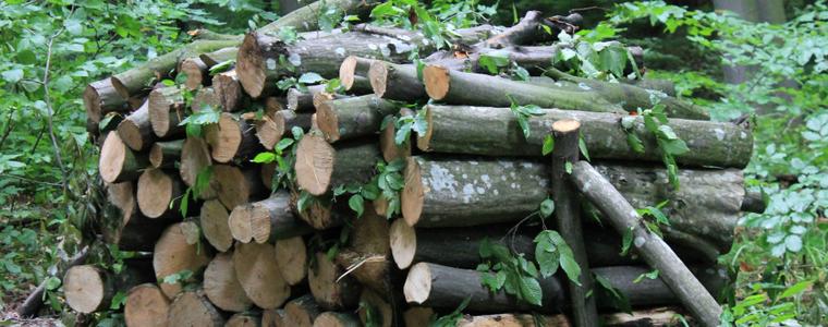 Липсата на внос на дърва за огрев от България доведе до рязко покачване на цените в Гърция