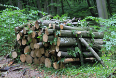 Липсата на внос на дърва за огрев от България доведе до рязко покачване на цените в Гърция