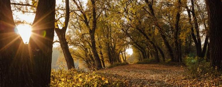 Прогноза за времето на 31 октомври