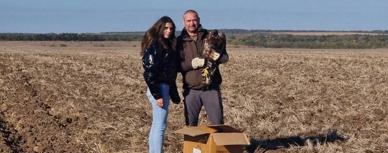РИОСВ-Варна и зооцентърът в  Добрич пуснаха в природата морски орел