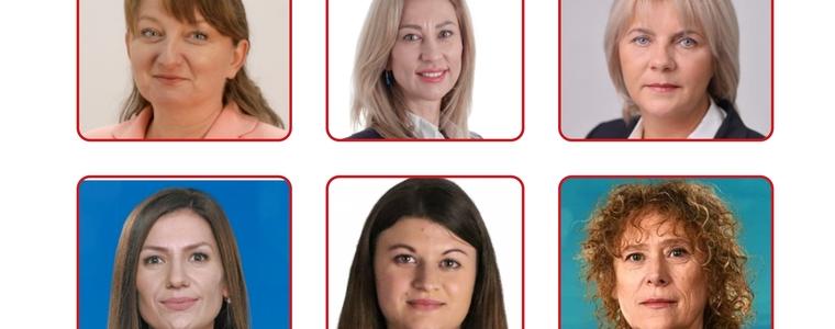 Шест политически формации си поделят  мандатите в област Добрич