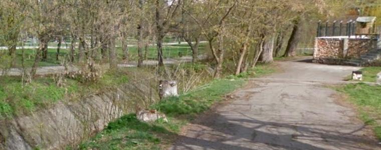 Паркови елементи ще предпазват от разливи на канала в Градски парк 