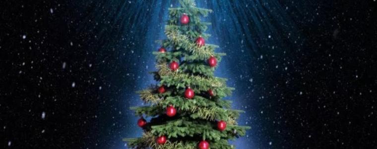 Коледните светлини на елхата в Стефаново грейват на 7 декември