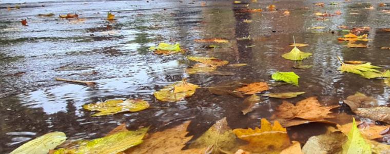 Прогноза за времето в неделя