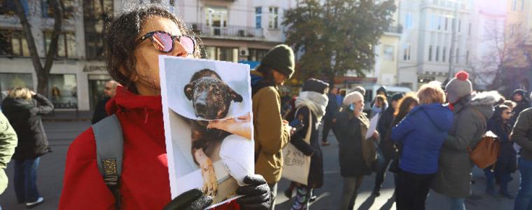 Протести в защита на кучето Мечо са свикани в големите градове