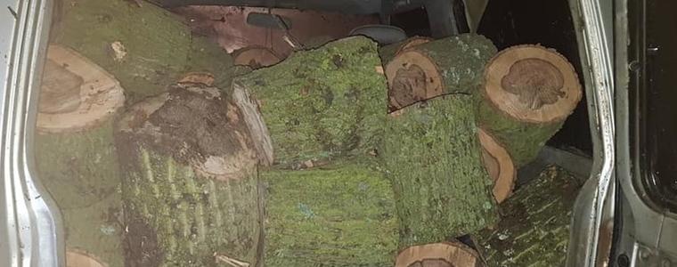 Незаконно добити дърва задържаха горските в ДГС-Генерал Тошево 