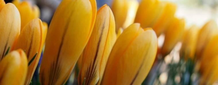 Прогноза за времето в събота