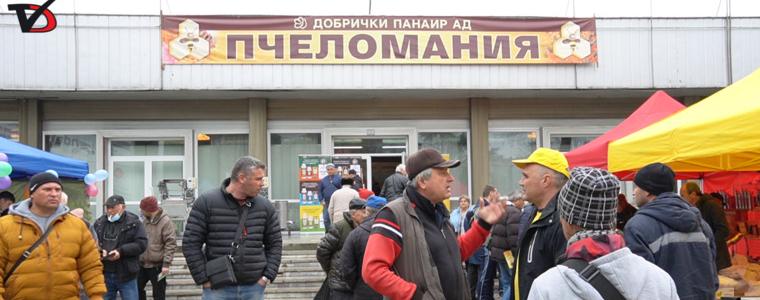 45 участници на изложението „Пчеломания“ в Добрич (ВИДЕО)