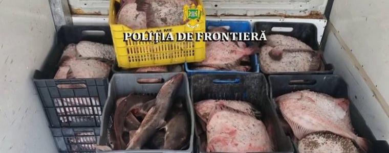 ИАРА: Вероятно в понеделник ще има повече яснота за задържаните български кораби в Румъния