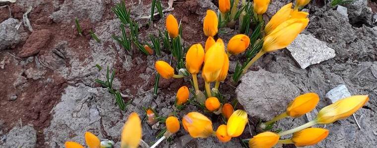 Прогноза за 12 март
