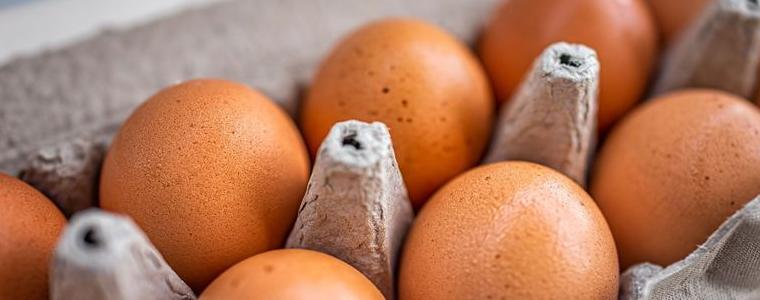 Украинските яйца са безопасни, показаха резултатите от изследванията на БАБХ