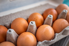 Украинските яйца са безопасни, показаха резултатите от изследванията на БАБХ