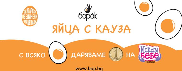 Ферма за яйца от добричко село с национална благотворителна кампания