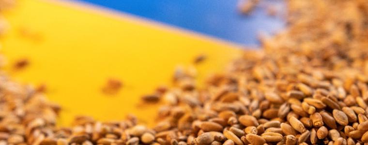 Земеделските министри на ЕС обсъждат проблемите около украинското зърно