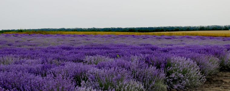 Прогноза за 26 юни