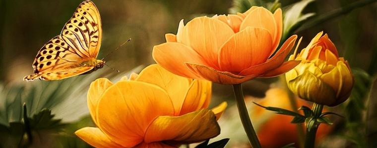 Прогноза за времето в петък