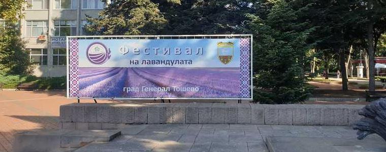 За девети път Национален фестивал на лавандулата в Генерал Тошево