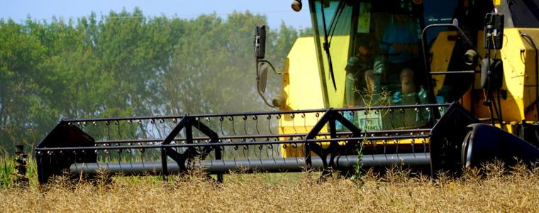 Демонстрационна жътва на хибриди рапица с марката Pioneer проведе Corteva Agriscience край Паскалево (ВИДЕО)