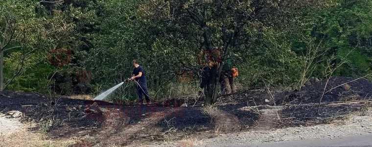 Голям пожар гори в Бургаско