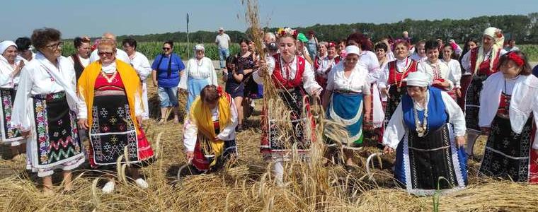 Празник на жътварската песен "Добруджански харман" се провежда в Гурково