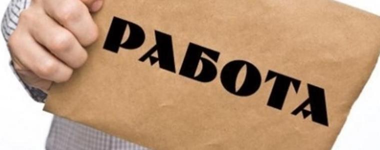 348 безработни в област Добрич са постъпили на работа през юли 2023г.
