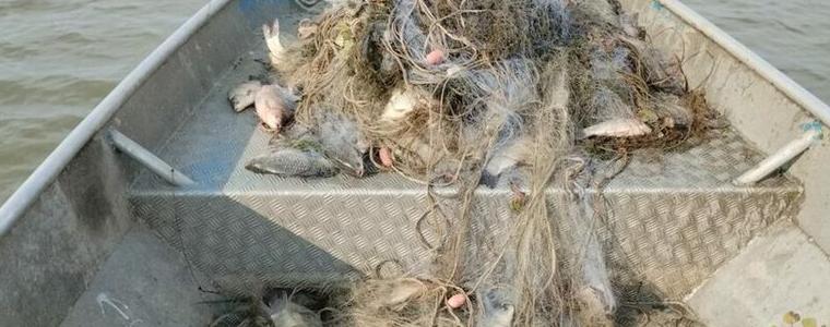 Зоопаркът в Бургас се сдоби с 550 кг риба, конфискувана от бракониери