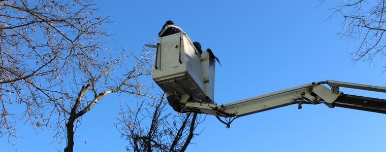Планова санитарна резитба утре по ул. "Методи Кусевич"