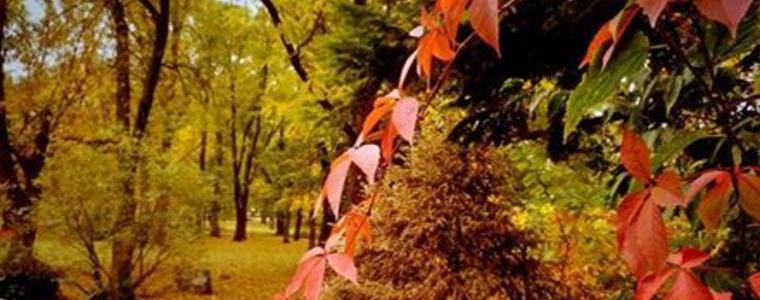 Прогноза за времето в петък