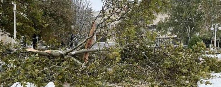 Общинското предприятие продължава да отстранява последиците от бурята в града   
