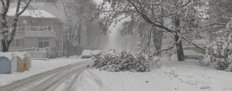  Служителите на Пожарната са реагирали на два сигнала