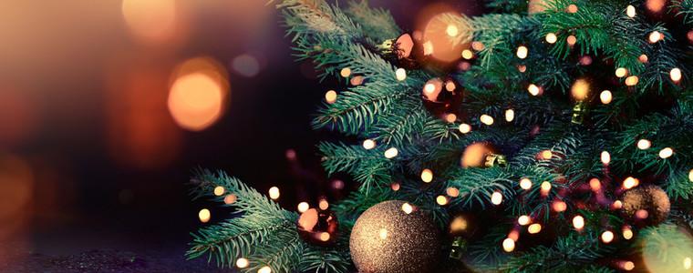 Светлините на елхата в Каварна ще светнат на 5 декември