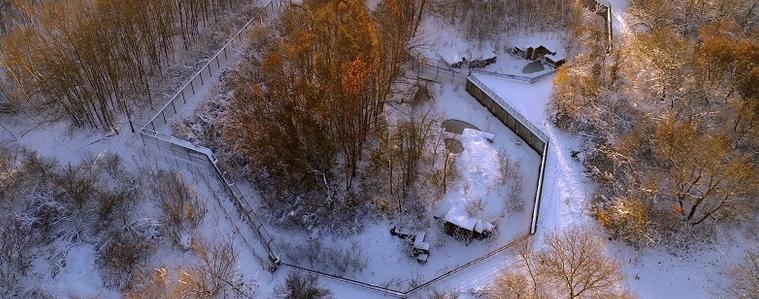 Зимна приказка очаква посетителите в Зооцентъра в Добрич (ВИДЕО)