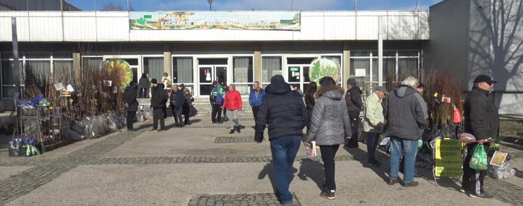 Борсата за семена и посадъчен материал в Добрич ще бъде открита на 31 януари