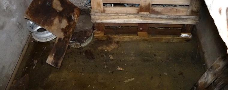 От месец теч на вода мъчи два блока по бул. „Трети март“ в Добрич (ВИДЕО)