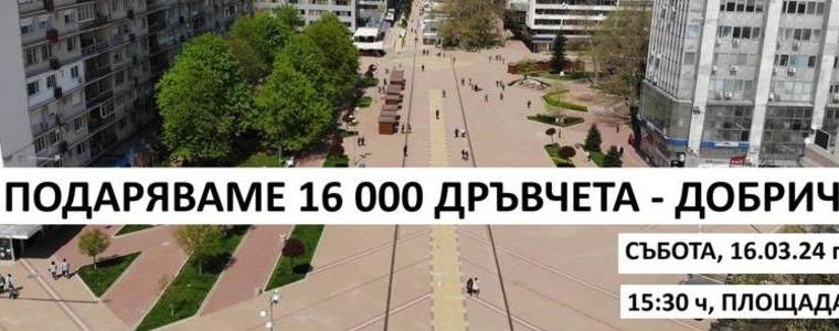 16 000 дръвчета за засаждане ще бъдат раздадени в Добрич днес