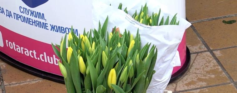 1700 лева събраха от Ротаракт - Добрич от инициативата "С цвете в ръка срещу репродуктивните проблеми"