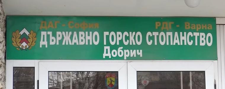 ДГС-Добрич откри дарителска сметка за пострадалите и семействата на загиналите работници от стопанството