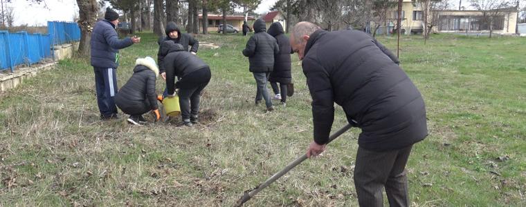 Директорът на ВиК – Добрич засади дръвчета на Световния ден на водата (ВИДЕО)