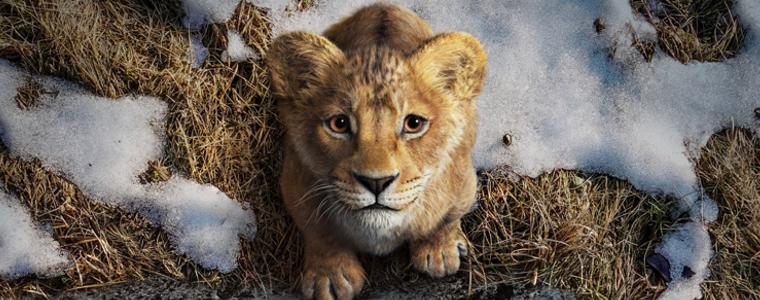Един лъв променя живота ни завинаги с „Муфаса: Цар Лъв“ през декември само в кината (ВИДЕО)