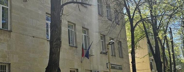 Община Добрич: След ремонта, дърветата по пешеходната зона ще бъдат с 68 повече