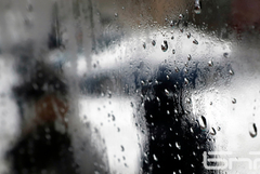 Жълт код за валежи е обявен за шест области на страната, сред тях и Добрич
