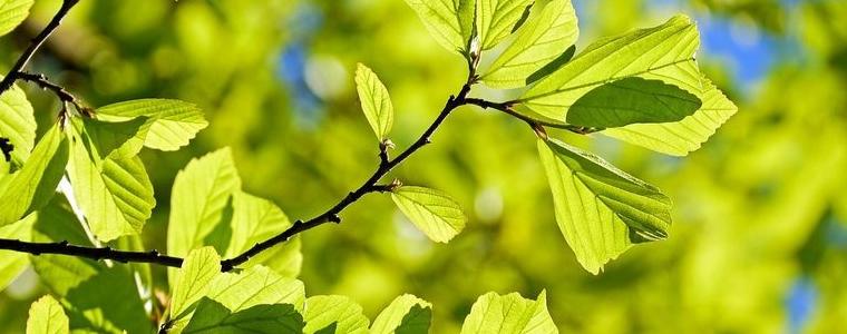 Прогноза за времето в понеделник