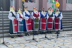 Десетки изпълнители на фестивал в с.Стефаново (СНИМКИ и ВИДЕО)